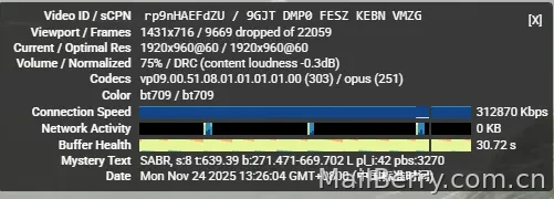image-20251124153822615