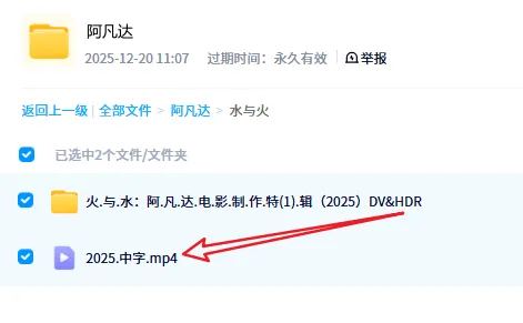 image-20251220110859472