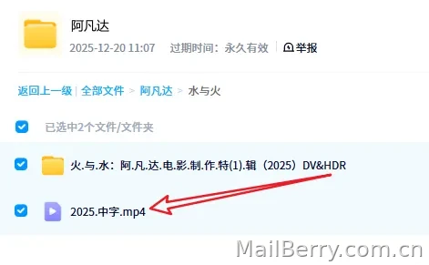 image-20251220110859472