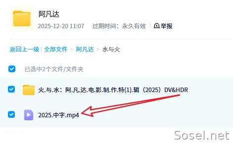 image-20251220110859472
