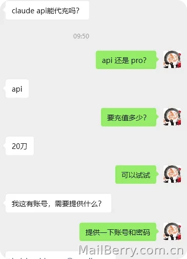 image-20251229113901028