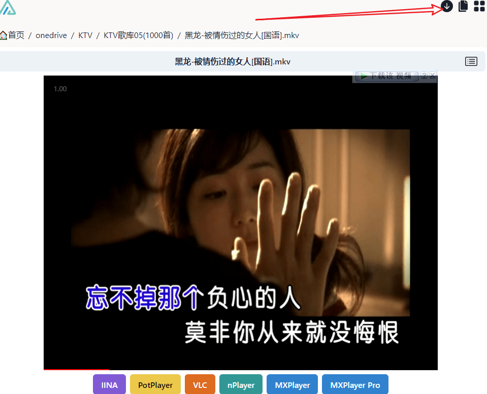 KTV歌曲库05(1000首)