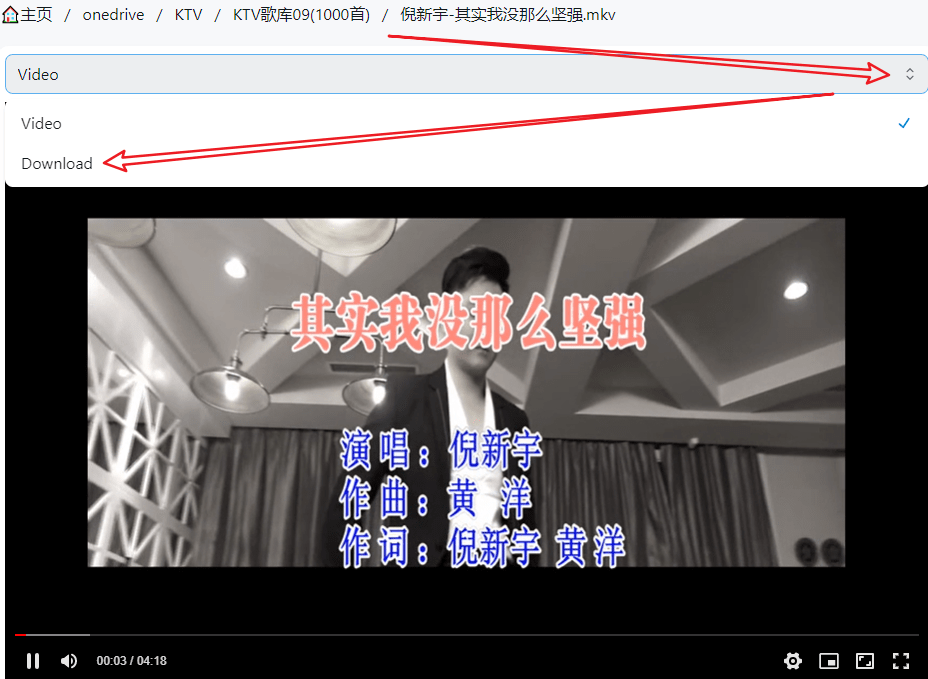 KTV歌曲库09之一(100首)