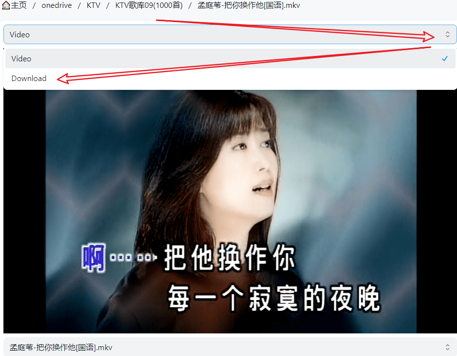 KTV歌曲库09之二(100首)