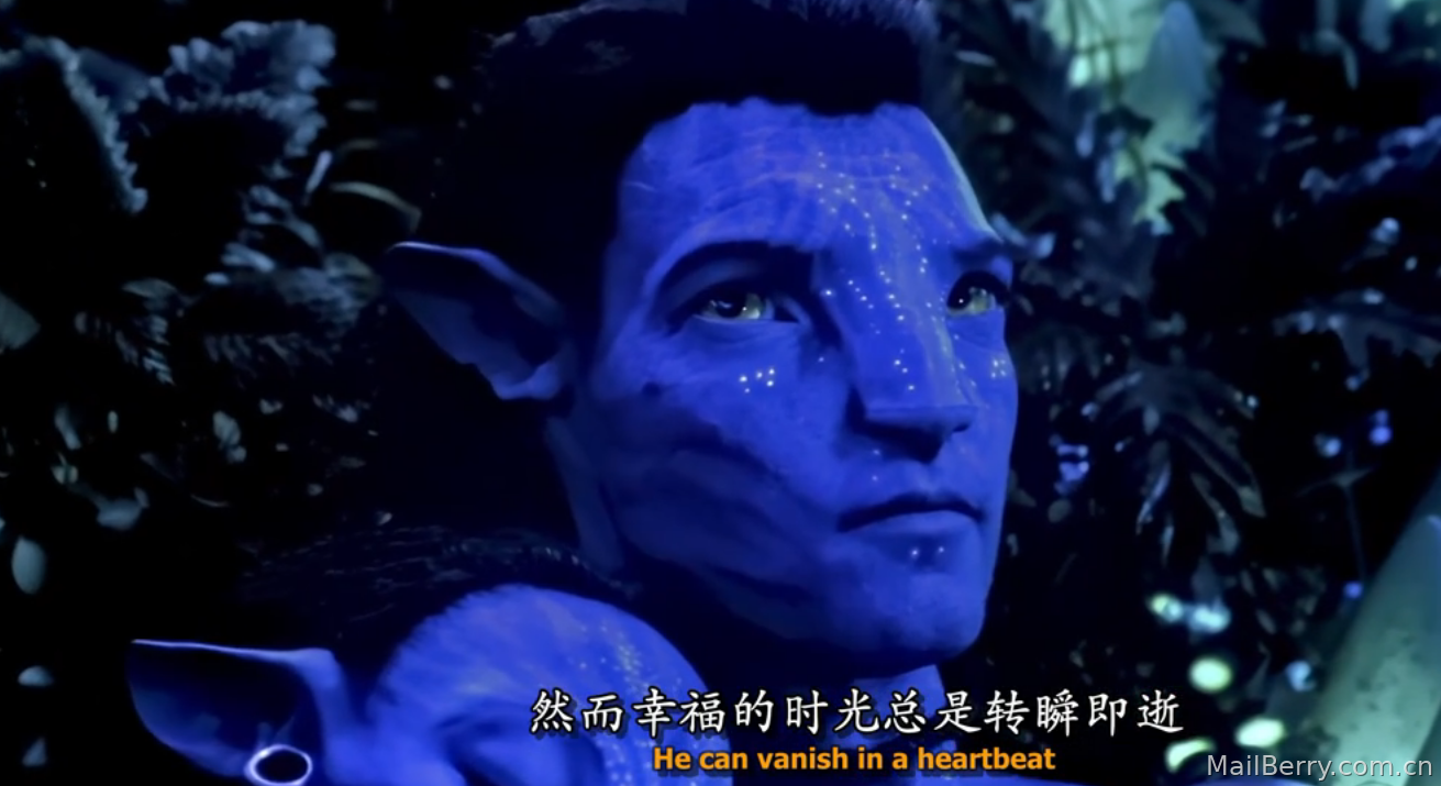 image-20230113154616995