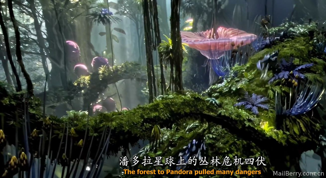 image-20230113160552945