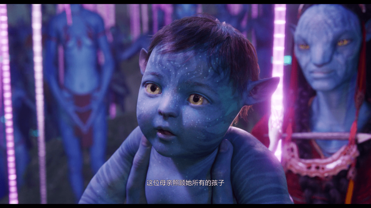 阿凡达2：水之道WEBRip流媒体版下载资源