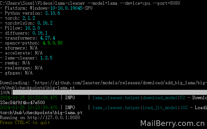 image-20240125102357929