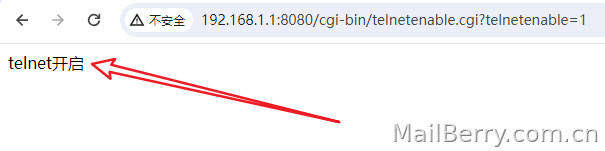 image-20240530101639463