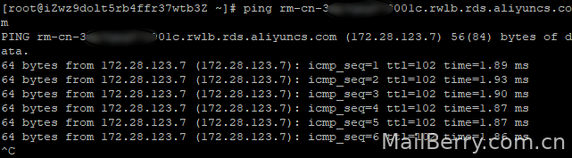 image-20240723103255030