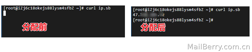 image-20240824104002513
