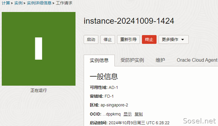 image-20241009143601769