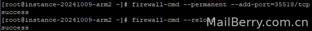 image-20241009163815248