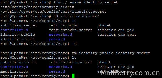 image-20241010110516632