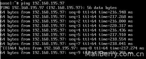 image-20241005173523178