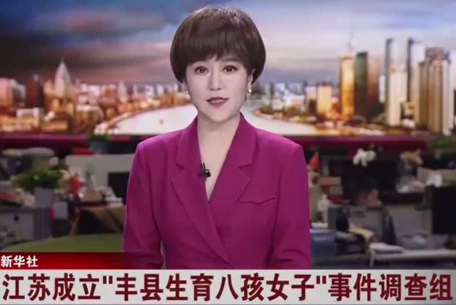 江苏省成立调查组对丰县八孩女铁链女案调查