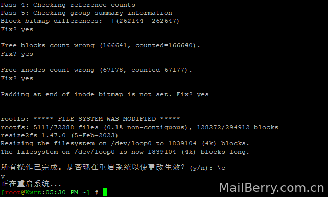 image-20250219174824637